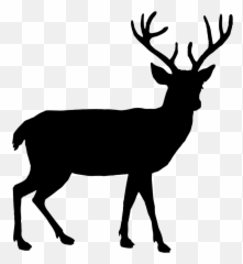 Deer Clipart Buck Deer Buck - Deer Animal Silhouettes Emoji,Buck Deer Emoji