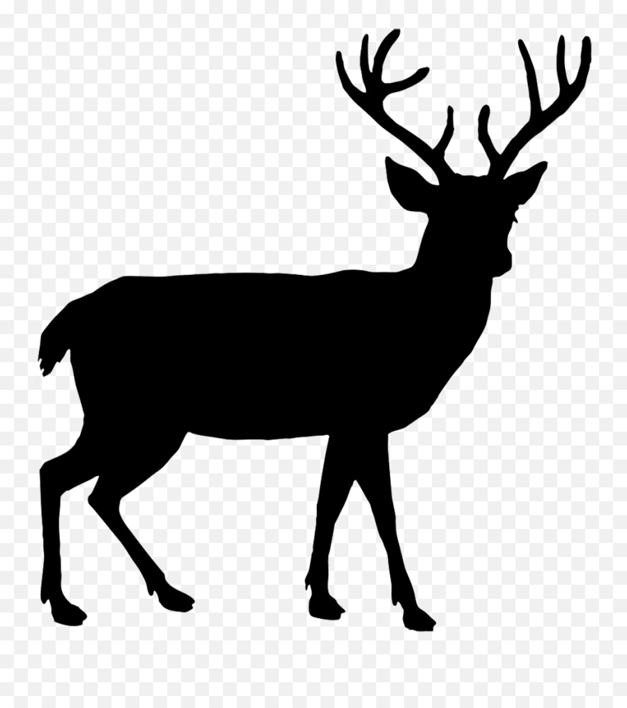 Deer Clipart Buck Deer Buck - Deer Animal Silhouettes Emoji,Buck Deer Emoji