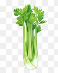 Celery Cellery Transparent Png Emoji,Celery Emoji