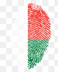 Madagascar Flag Fingerprint - Emoji