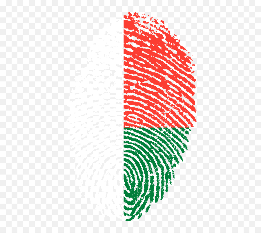 Madagascar Flag Fingerprint - Madagascar Fingerprint Flag Emoji,Madagascar Flag Emoji