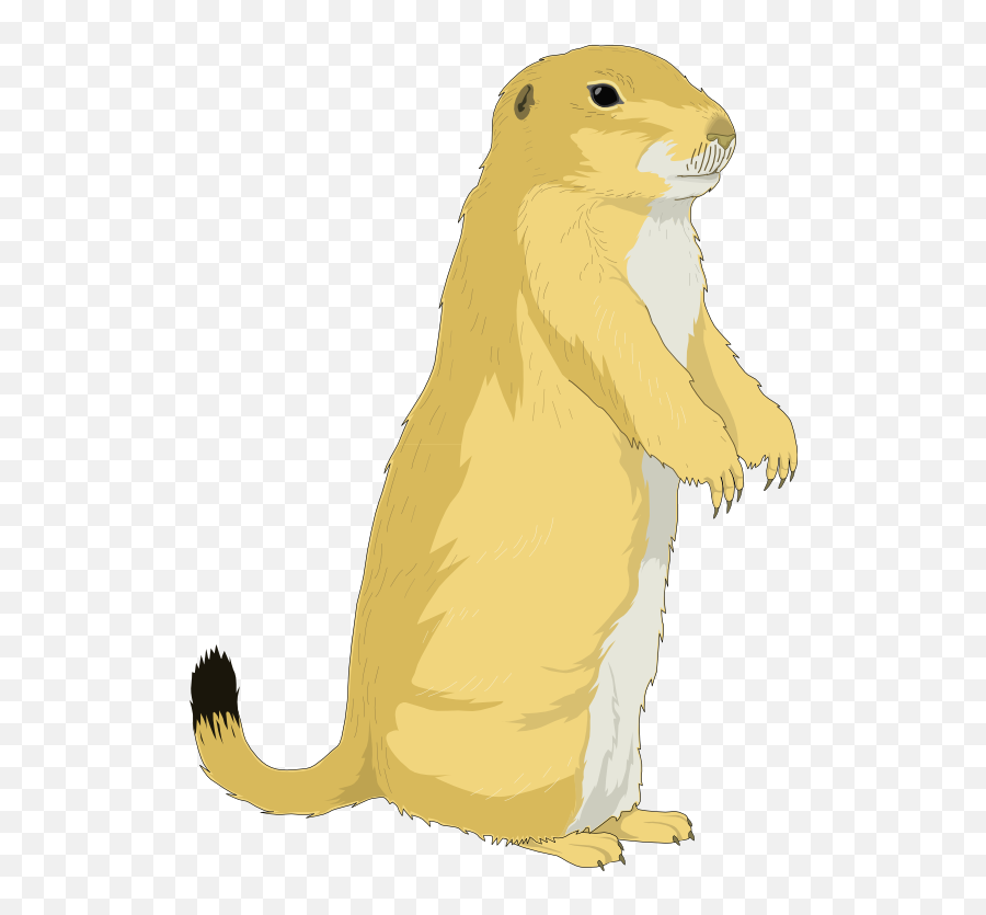 Squirrel Free To Use Clip Art - Prairie Dog Clip Art Emoji,Gopher Emoji