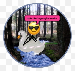 Swim Floaty Emoji Coolemoji - Tundra Swan,Swim Emoji