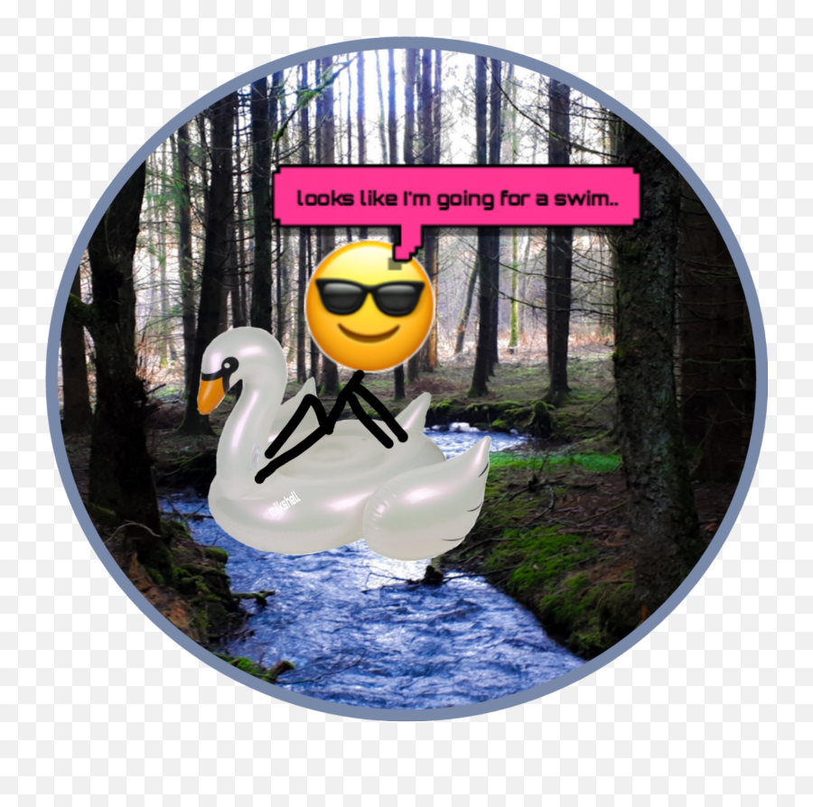 Swim Floaty Emoji Coolemoji - Tundra Swan,Swim Emoji
