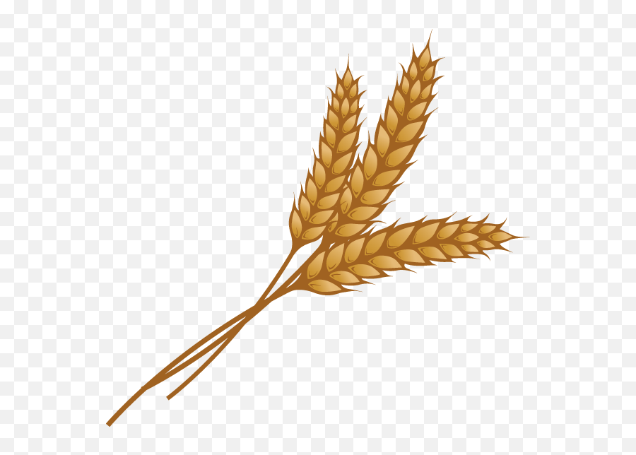 Wheat Clipart - Wheat Grain Transparent Emoji,Wheat Emoji