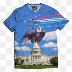 Httpswwwaafnationcom Daily Httpswwwaafnationcom - Capitol Emoji,Bald Eagle Emoji