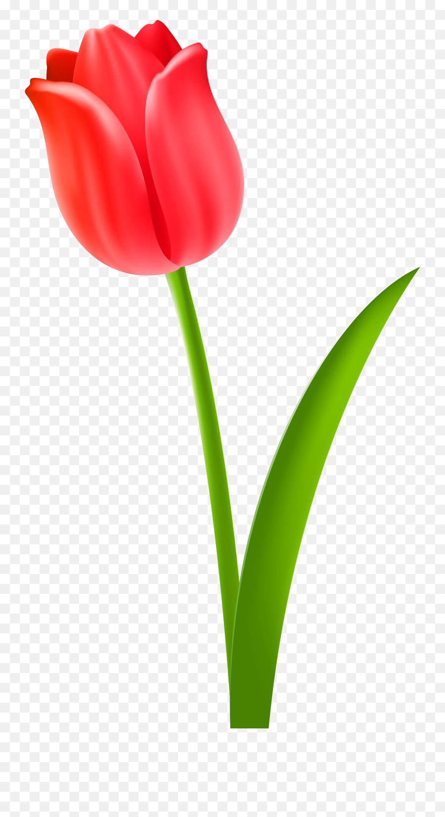 114379 Transparent Free Clipart - Tulip Clipart Emoji,Car Grandma Flower Emoji