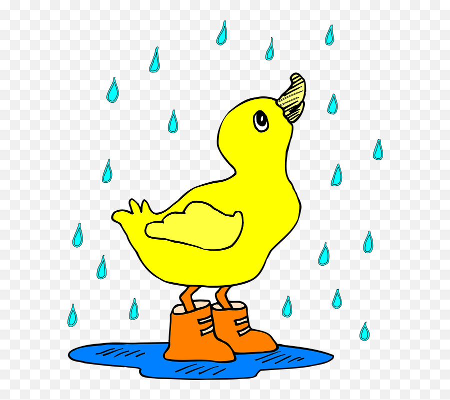 Free Duck Bird Vectors - Duck In The Rain Clipart Emoji,Duck Emoticon