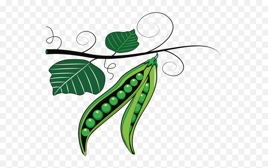 Green Peas - Green Vegetables Clip Art Emoji,Green Pepper Emoji