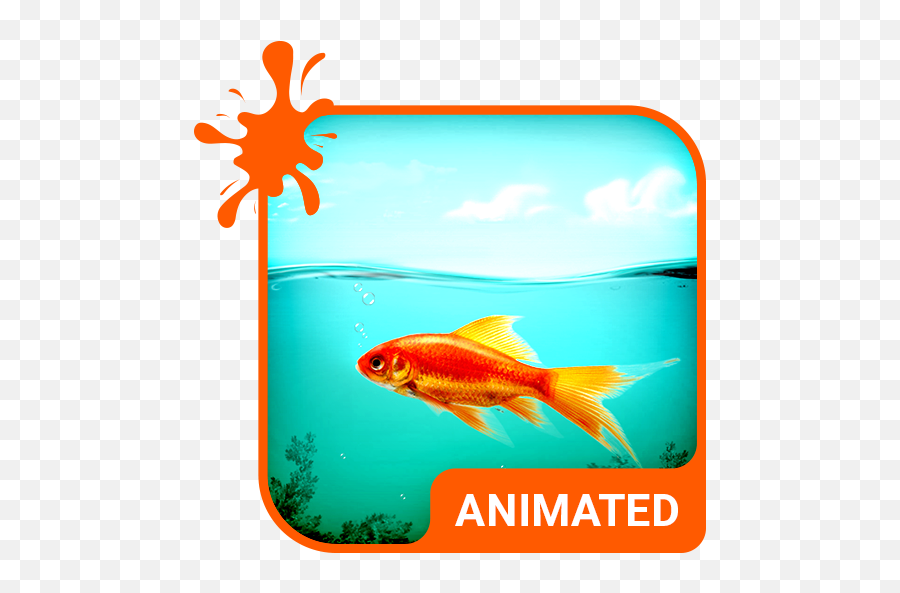 Golden Fish Animated Keyboard Live Wallpaper - Apps On Water Animated Tornado Emoji,Goldfish Emoji