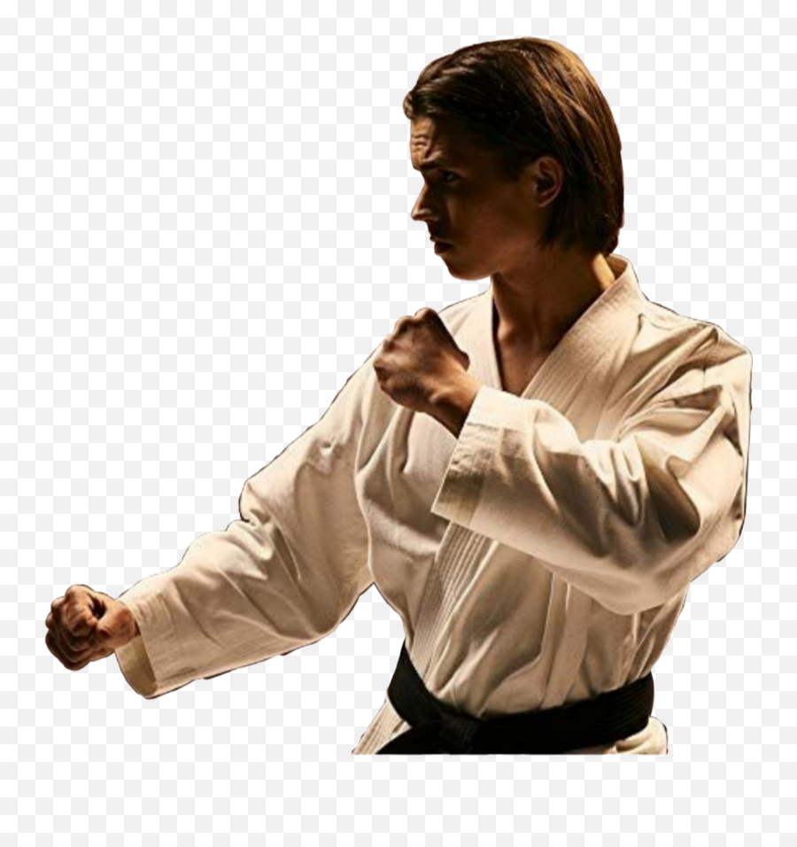 The Most Edited - Robby Keene From Cobra Kai Emoji,Karate Emoji