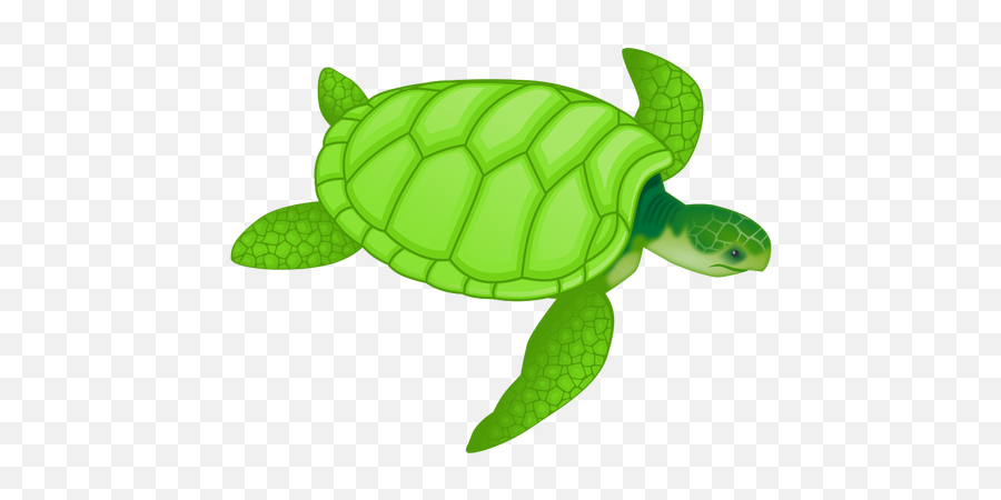 Green Sea Turtle Vector Clip Art - Green Sea Turtle Clipart Emoji,Green Checkmark Emoji