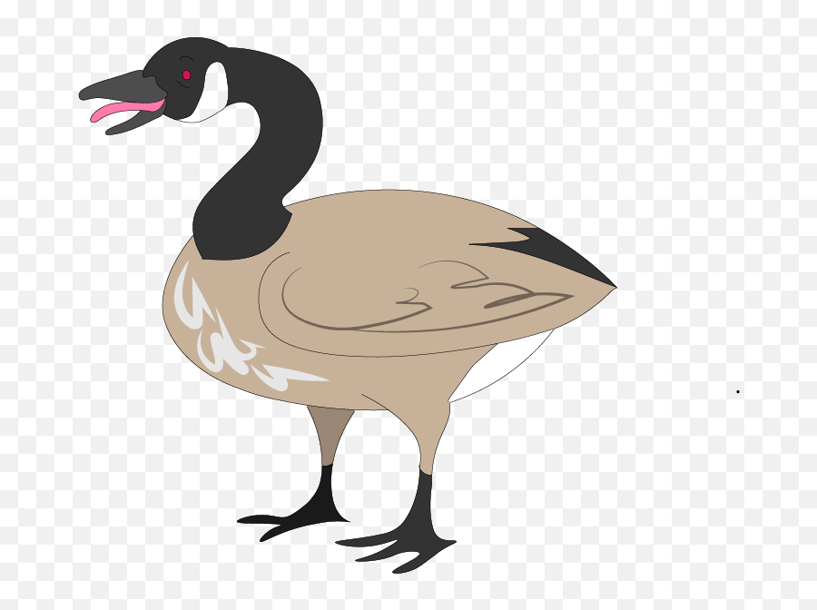 Canada Goose Illustrated For A North By Northwestern Clipart - Canada Goose Illustration Emoji,Goose Emoji