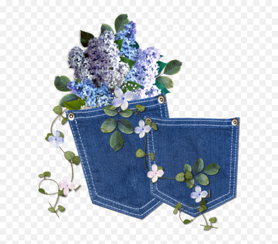 Japan Japanese Jeans Flower Hydrangea - Blog Emoji,Japanese Emoji Flower
