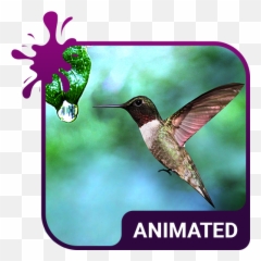Colibri Animated Keyboard Live Wallpaper - Tornado Animated Emoji,Hummingbird Emoji