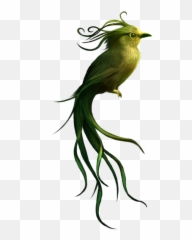 Bird Birds Fantasybird Fairytale Fantasy Fantasyart Ter - Old World Oriole Emoji,Oriole Emoji