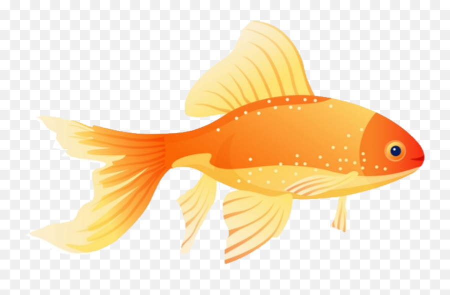 Goldfish Fish Fishes Sticker - Vector Graphics Emoji,Goldfish Emoji