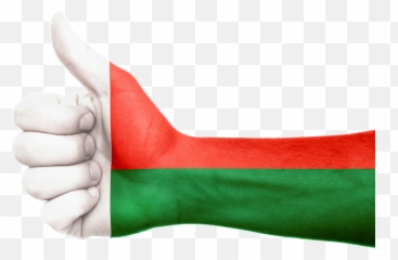 Madagascar Hand Flag - Bonne Fete Nationale Malagasy Emoji