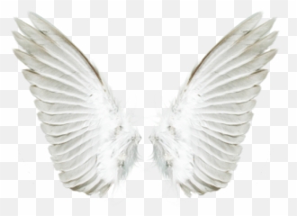 Free transparent angel wings emoji images, page 1 - emojipng.com