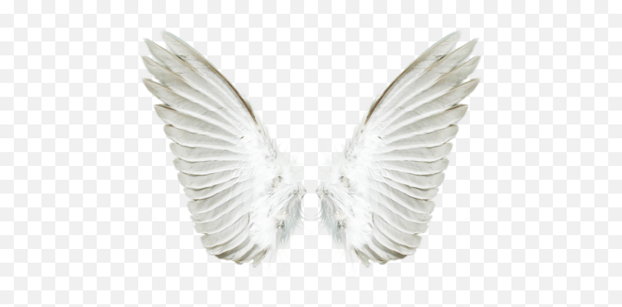 Pin - Transparent Background Angel Wings Png Emoji,Angel Wings Emoji