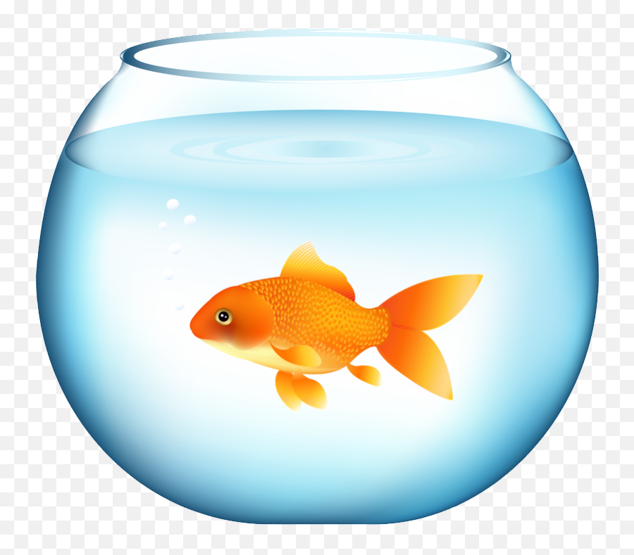 Goldfish Png - Goldfish Emoji,Don T Care Emoji