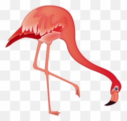Emoji - Greater Flamingo,Flamingo Emoji