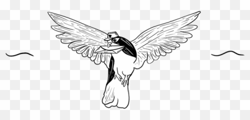 What Is Knowledge Base Software - Helpdocs Carolina Chickadee Emoji,Flip The Bird Emoji