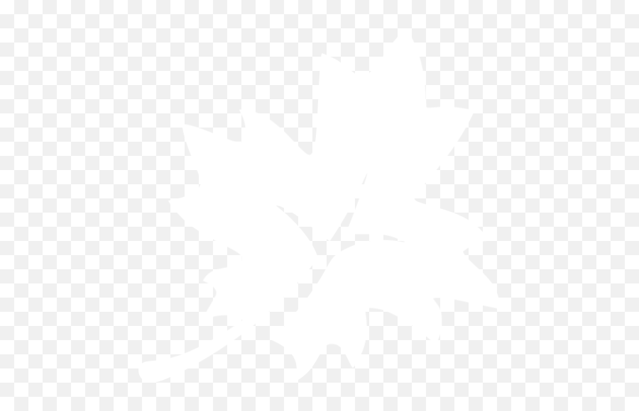 White Leaf 3 Icon - Ajk Television Emoji,Snowflake Sun Leaf Leaf Emoji
