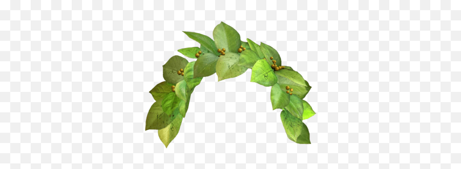 Leaf Png And Vectors For Free Download - Leaf Flower Crown Png Emoji,Pot Leaf Emoji Android