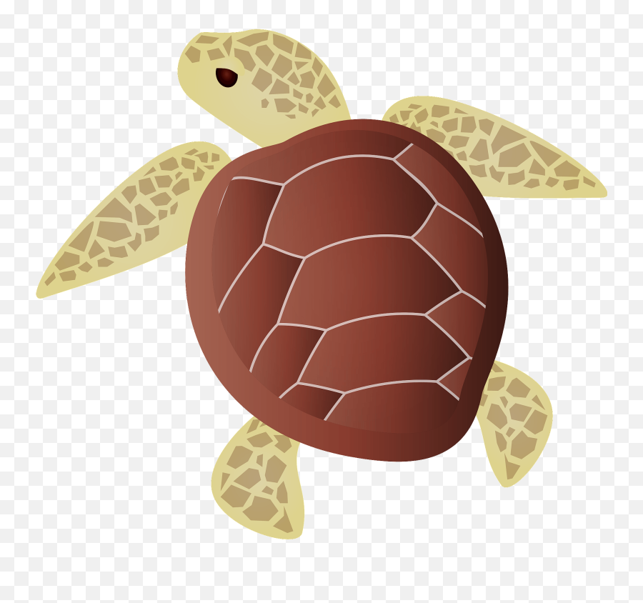 Sea Turtle Clipart - Sea Turtle Clipart Png Emoji,Sea Turtle Emoji