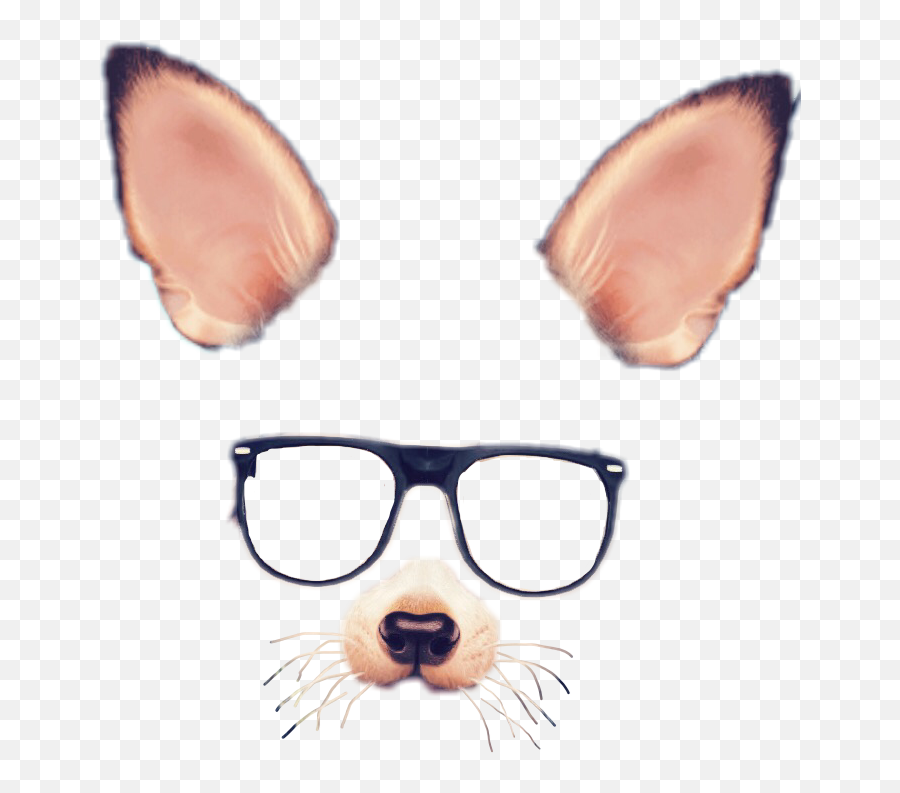 Fox Foxfilter Glasses Cute Filter Snapchat Freetoedit - Snapchat Filters Png Cute Emoji,Sunglasses Emoji On Snapchat