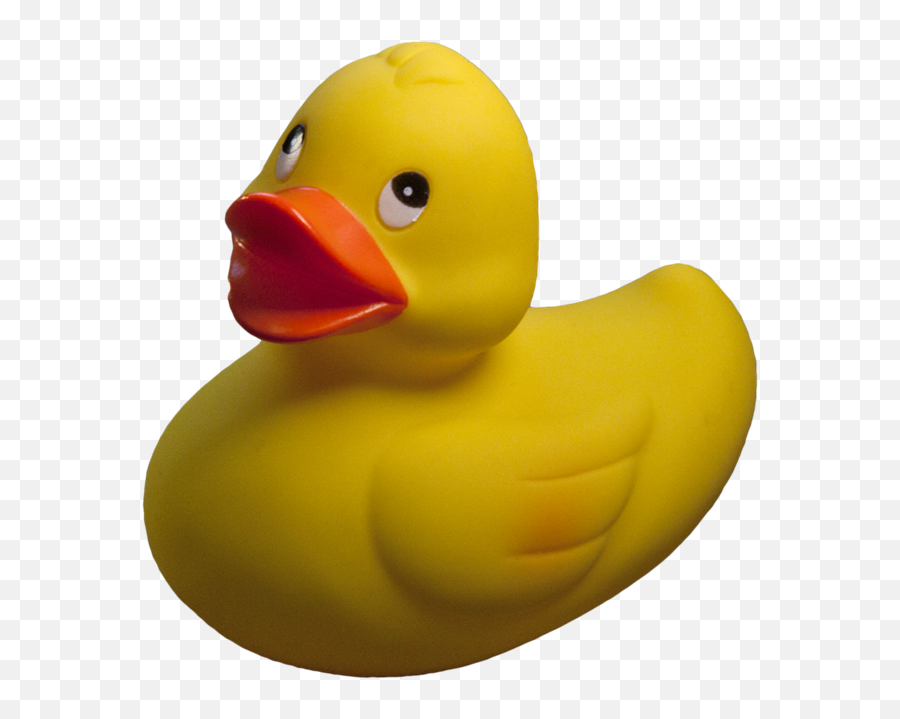 Rubber Duck Png - Rubber Duck Transparent Background Emoji,Queen Crown Emoji