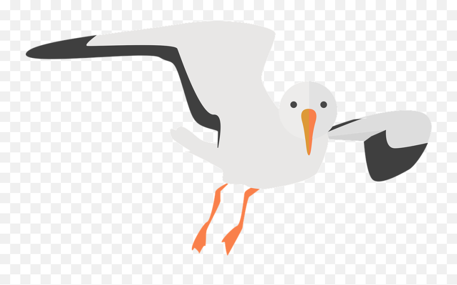 Transparent Background Seagull Clipart - Seagull Clipart Transparent Emoji,Seagull Emoji
