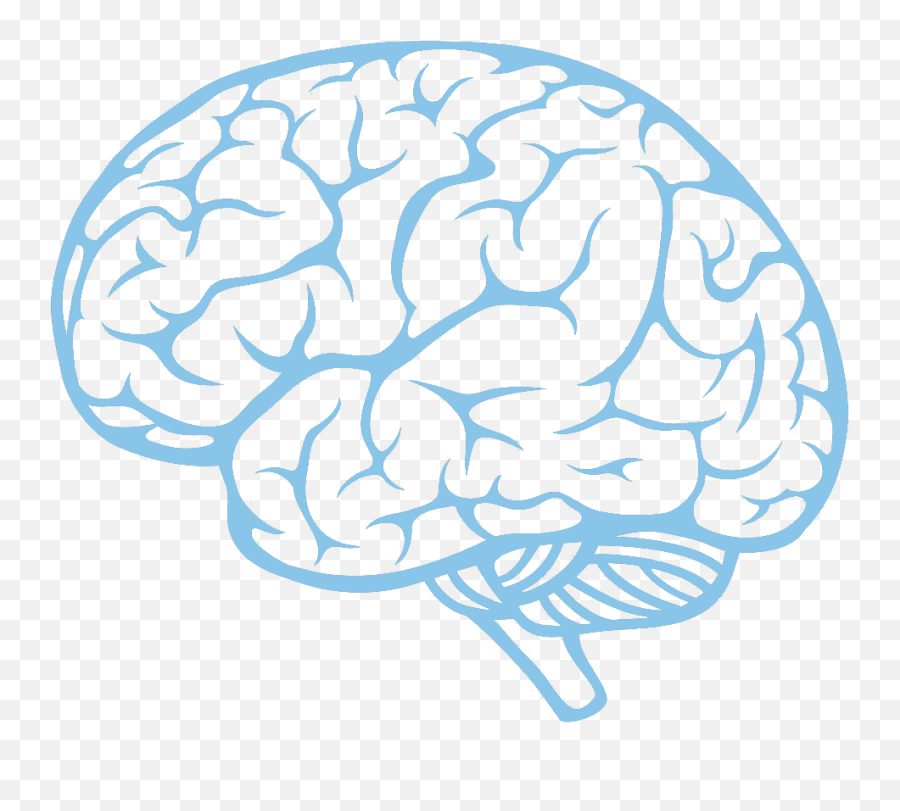 12 Brain Icon - Brain Outline Emoji,Brain Emoji Png