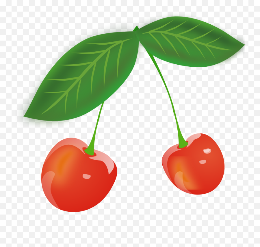 Free Cherry Clipart Png Download Free - Cherries Cartoon Transparent Emoji,Cherries Emoji
