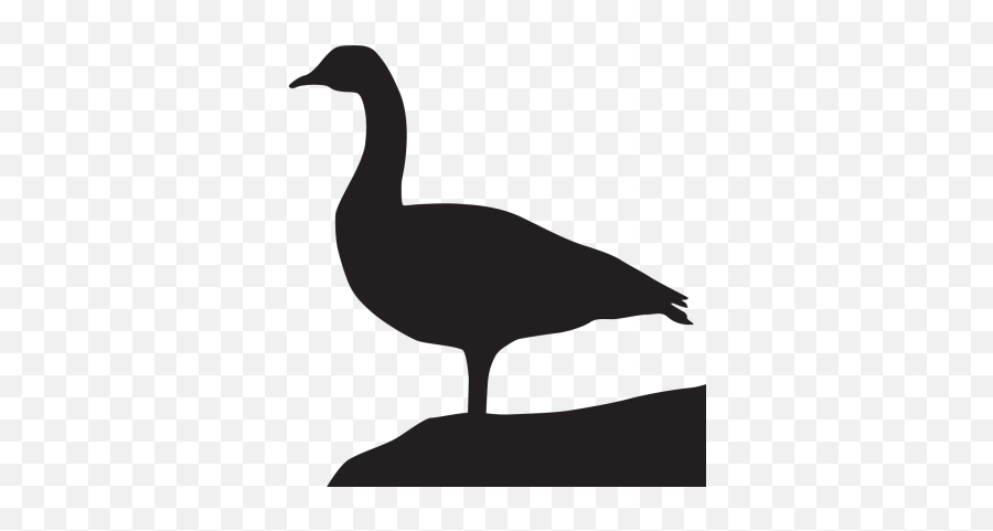 Goose Png And Vectors For Free Download - Black Canadian Goose Bird Emoji,Goose Emoji
