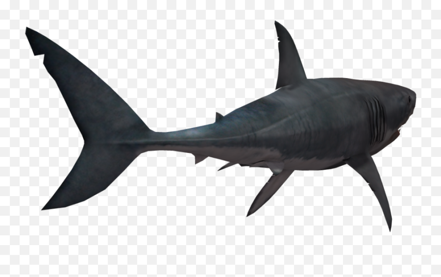 Great White Shark 03 - Great White Shark Silhouette Emoji,Shark Emojis
