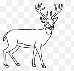 Deer Clipart Buck Deer Buck - Outline Deer Clipart Emoji,Buck Deer Emoji