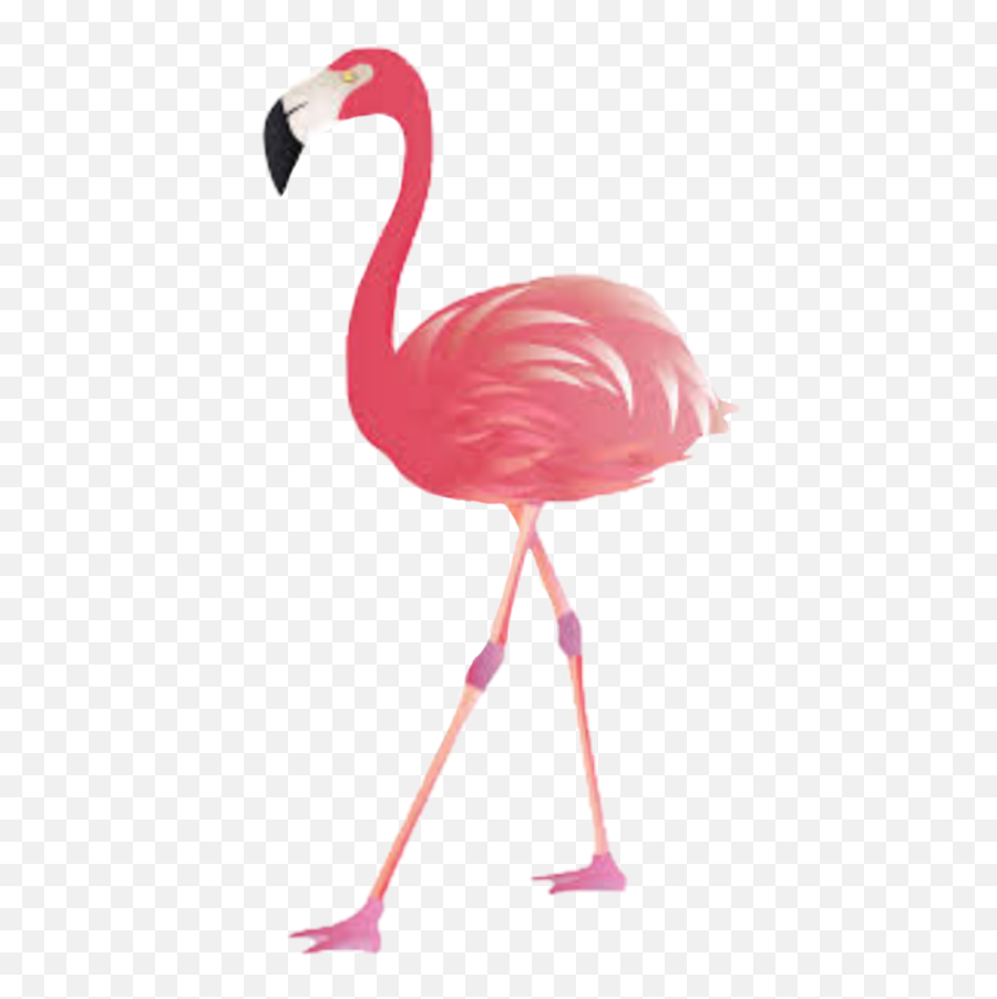 Flamingo Emoji Kawaii Cute Sticker - Pineapple Transparent Background Flamingo Clipart,Flamingo Emoji