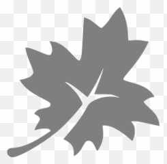 Gray Leaf 3 Icon - Icon Emoji,Snowflake Sun Leaf Leaf Emoji