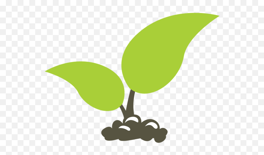 Seedling Clipart Many Plant Seedling Many Plant Transparent - Seedling Cartoon Png Emoji,Seedling Emoji
