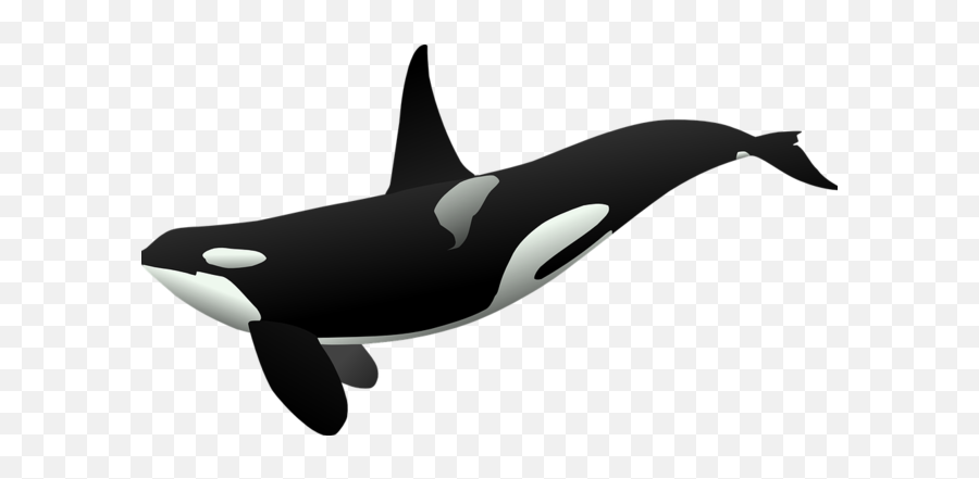 Whale Clipart Tumblr Clipartxtras - Orca Clipart Emoji,Whale Emoji