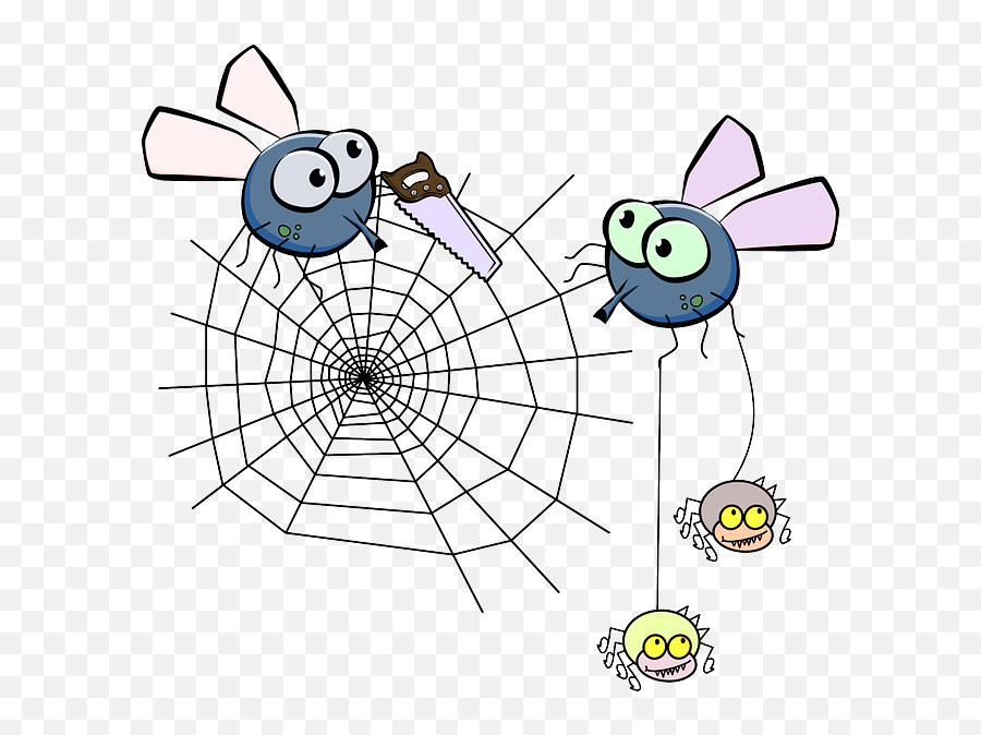 Free Pictures Funny - 816 Images Found Cartoon Cobweb With Fly Emoji,Spider Emoticons