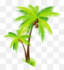 Transparent Background Coconut Tree Clipart - Emoji
