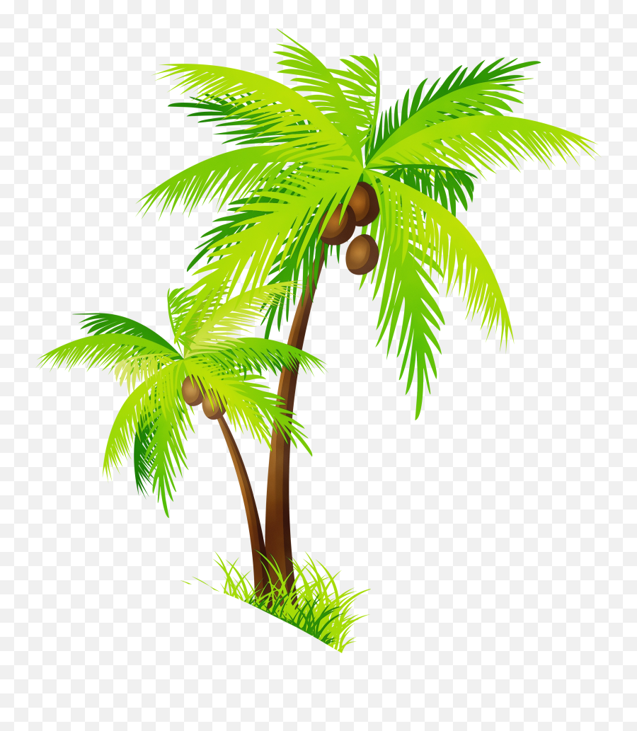 Transparent Background Coconut Tree Clipart - Transparent Background Coconut Tree Clipart Emoji,Palm Tree Emoji Transparent