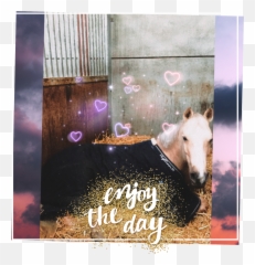 Rust Zacht Mn Lieve Cutie - Lusitano Emoji