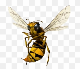 Angry Hornet - Emoji