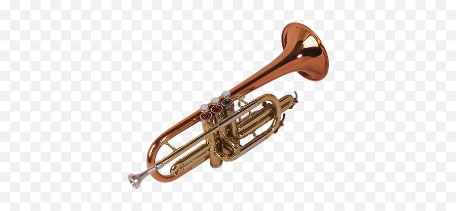 Types Of Trumpets - Trumpet Tuba Trombone Brass Instruments Emoji,Trombone Emoji