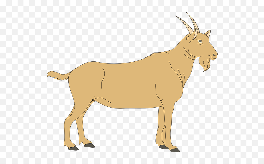 Goat Stickers - Goat Cliparts Png Emoji,Donkey Emoji Iphone