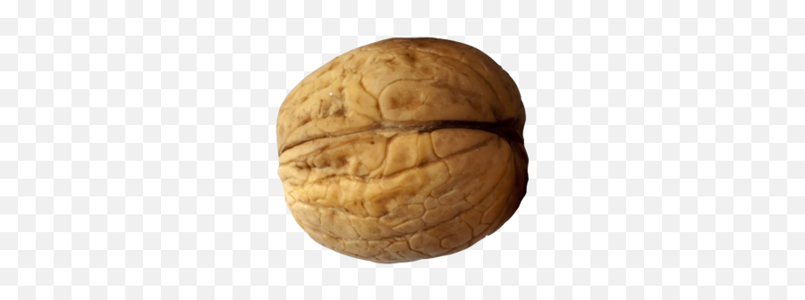 Download Walnut Png Picture Hq Png - Transparent One Walnut Emoji,Walnut Emoji